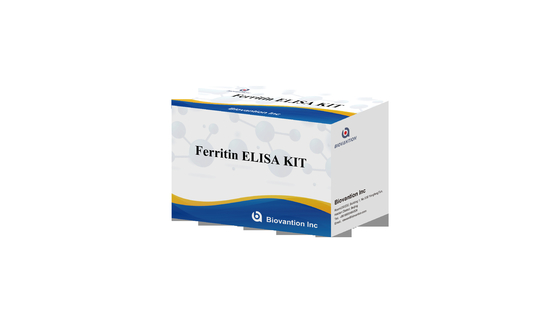 Ferritina kit di prova ELisa Sensibilità al siero rapida Test Elisa Biovanzione 2-3 ore Tempo di analisi 2-8.C Conservazione