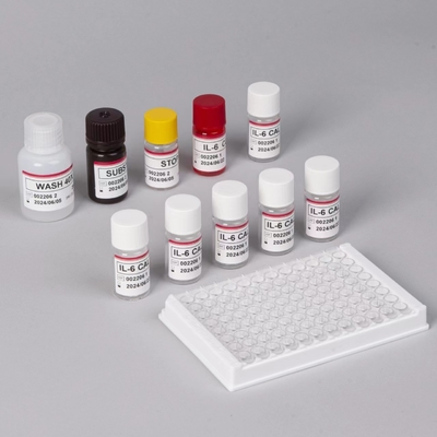 IL-6 Interleucina 6 Kit di prova Elisa con tempo di analisi di 2-3 ore Biovanzione Siero / formato plasmatico 18 mesi Durazione di conservazione
