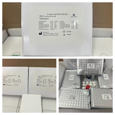 H kit di prova Pylori ELISA 480test/kit Risultati del kit di screening Elisa