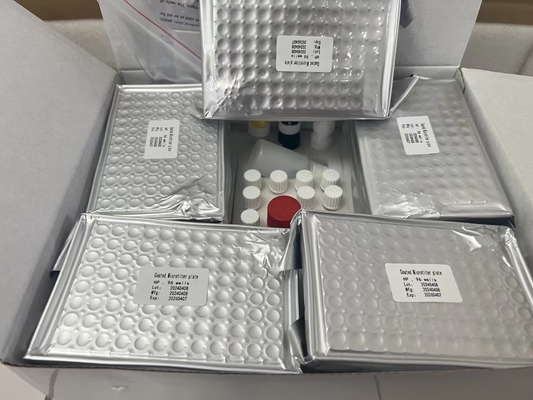 H kit di prova Pylori ELISA 480test/kit Risultati del kit di screening Elisa