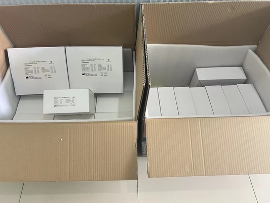 H kit di prova Pylori ELISA 480test/kit Risultati del kit di screening Elisa