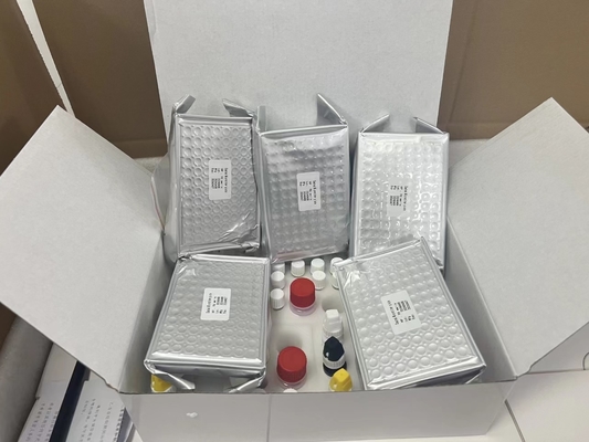 11-deidro-tromboxano B2 11dhTxB2 kit di prova ELISA IVD Alta precisione e semplice funzionamento