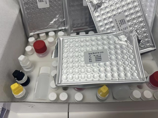 11-deidro-tromboxano B2 11dhTxB2 kit di prova ELISA IVD Alta precisione e semplice funzionamento