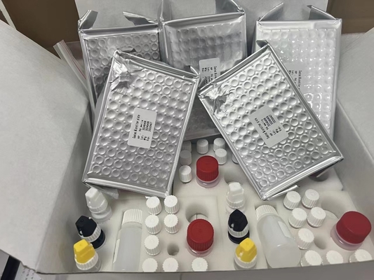 11-deidro-tromboxano B2 11dhTxB2 kit di prova ELISA IVD Alta precisione e semplice funzionamento