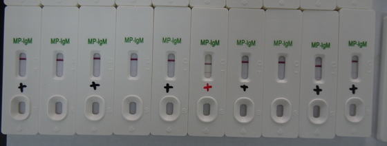 Cassetta per il test IgM dell' urina in oro colloidale MP con durata di conservazione di 24 mesi