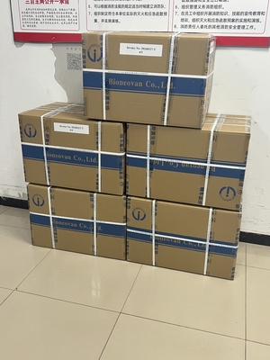 Cassetta combinata CMV IgM/IgG RV IgG TOXO IgG/IgM Kit per test su urina con oro colloidale di sensibilità