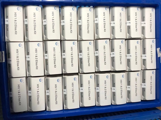 Reagenti per l' immunoassaggio enzimatico Kit di prova Elisa per il rilevamento degli anticorpi del virus dell' epatite C (VHC)