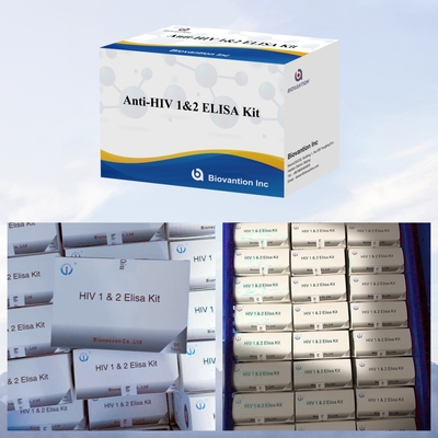 Biovantion Anti-HIV ELISA Test Kit 18 mesi Durata di conservazione per i test HIV-1 e HIV-2