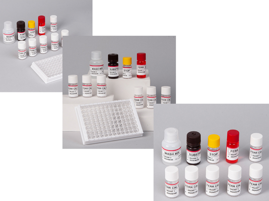 Laboratorio o ospedale Kit di test di alta precisione per la ferritina umana FE ELISA