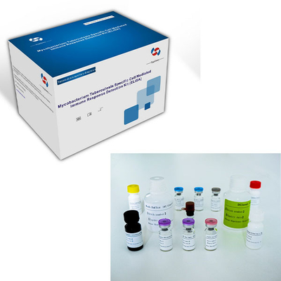 Kit di prova ELISA IGRA facile da usare per la tubercolosi con lunga durata di conservazione e metodo di conservazione 2C-8C