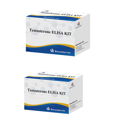 Ormone sessuale maschile Ormone testosterone (quantitativo) Kit di test Elisa per la diagnosi