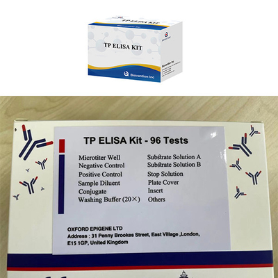 Infezione maschile e femminile Sifilide alta TP Ab Anticorpi ELISA Test KIT