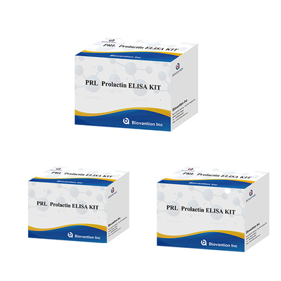 Ospedali Laboratori Cliniche utilizzano prolattina Immunoassay quantitativo ELISA TEST KIT