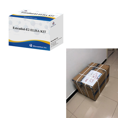 Per laboratorio o ospedali Kit di prova di estradiolo Elisa ad alta precisione