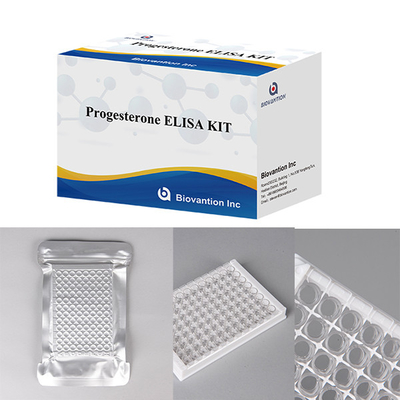 Ospedali Laboratori Cliniche Usano Progesterone Immunoassay Quantitativo ELISA TEST KIT