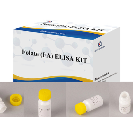 Reagenti immunitari ad alta sensibilità legati all' enzima Folato Elisa Test Kit