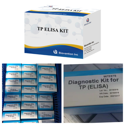 96T Soluzione di rilevamento Anticorpi della sifilide Immunoassay legato agli enzimi Elisa Test Kit