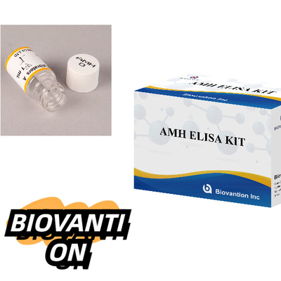 Anti-Mullerian Hormone Elisa Test Kit AMH ELISA Immunoassay Detection Kit Utilizzo previsto
