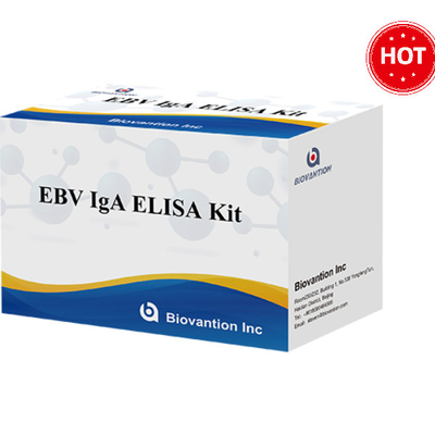 EBV-VCA IgA Ab ELISA Teat Kit Immunoassay Detection Kit Utilizzo previsto