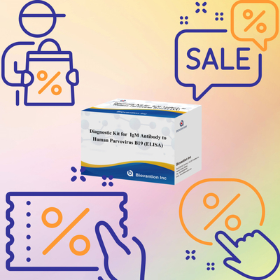 Kit di diagnosi per il parvovirus B19 IgM umano Kit di test per anticorpi Elisa con 96T