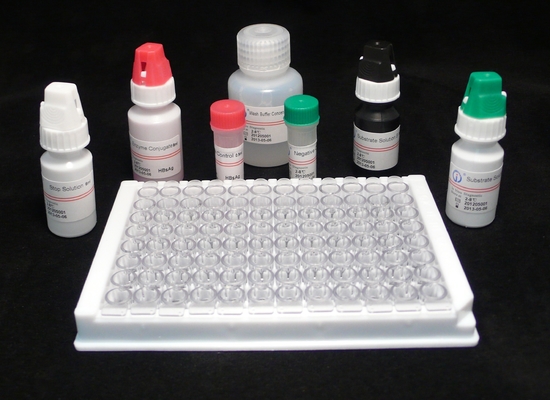 Kit di reagenti di rilevamento ELISA High Accuracy HBsAg Elisa Test Kit