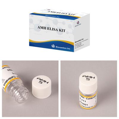 Approvazione CE Per uso umano Ormone antimulleriano (AMH) Test Elisa Kit di analisi del sangue o del siero 96T