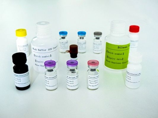 Siero Plasma TB-IGRA