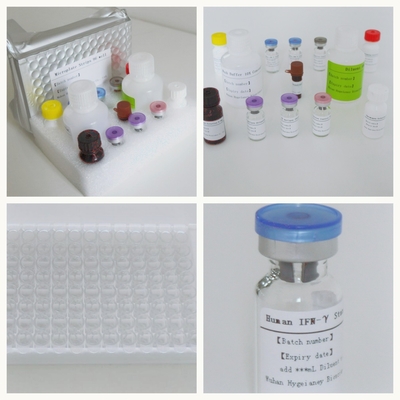 Mycobacterium Tuberculosis Specific T Cell Mediated Immun Response Detection Elisa test kit