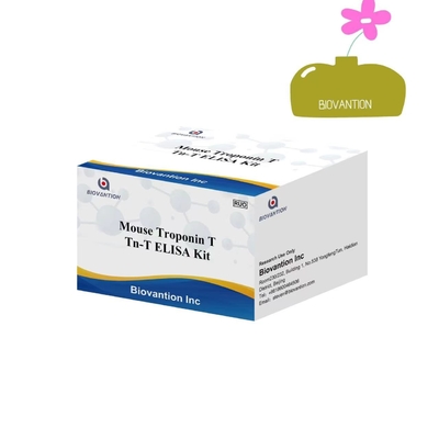 Kit di reagenti di rilevamento ELISA di alta precisione Troponina I ((CTnl)) Test Kit di test Elisa Uso ospedaliero