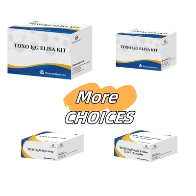 TOXO Ig G Sensitive and Specific Elisa Test Kit per il monitoraggio delle malattie