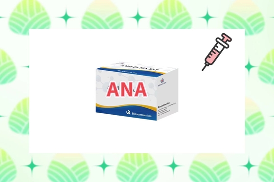 Sensitività ANA Screen IgG Elisa Test Kit per il rilevamento del siero/plasma a 2-8°C