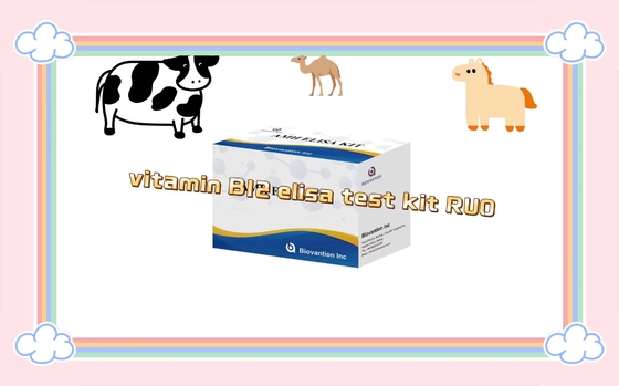 Vitamina B12 Elisa Test Kit Of Enzyme-Linked Product RESEARCH Utilizzare solo test sugli animali