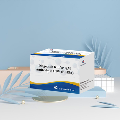 18 mesi Durazione di conservazione Test di analisi immunosorbente legato agli enzimi per anticorpi IgM contro CBV