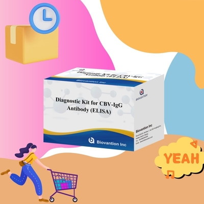 Kit diagnostico di sensibilità per il rilevamento di anticorpi CBV-IgG umani Kit Elisa per il rilevamento preciso del tipo di campione