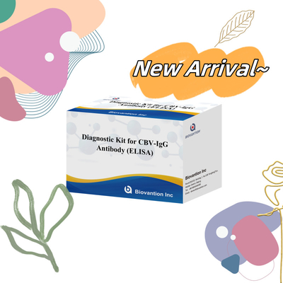 Kit diagnostico di sensibilità per il rilevamento di anticorpi CBV-IgG umani Kit Elisa per il rilevamento preciso del tipo di campione