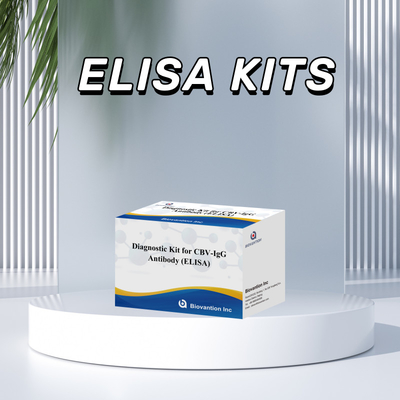 Kit diagnostico di sensibilità per il rilevamento di anticorpi CBV-IgG umani Kit Elisa per il rilevamento preciso del tipo di campione