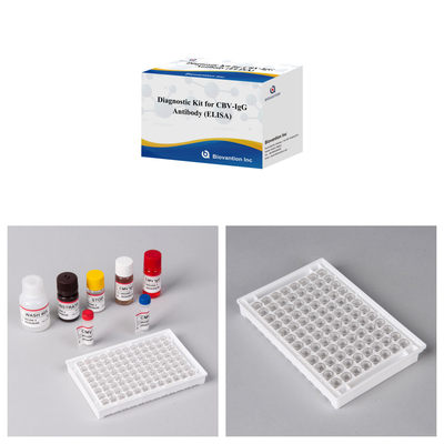 Kit diagnostico di sensibilità per il rilevamento di anticorpi CBV-IgG umani Kit Elisa per il rilevamento preciso del tipo di campione