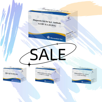Kit di diagnosi di sensibilità a 2-8°C per anticorpi IgA contro EBV-EA Kit di prova ELISA