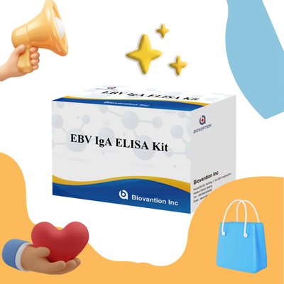 Kit di prova Elisa professionale per il kit diagnostico per gli anticorpi IgA contro EBV-Zta