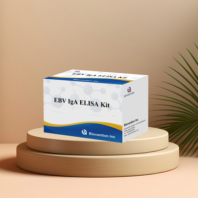 Kit di prova Elisa professionale per il kit diagnostico per gli anticorpi IgA contro EBV-Zta