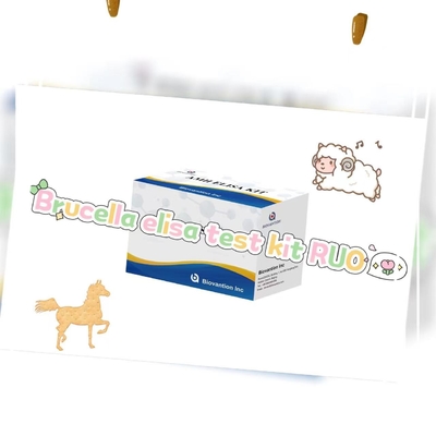 Brucella elisa kit di prova RUO Elisa kit di prova di prodotto legato all' enzima RICERCA USO SOLO Sulla prova animale