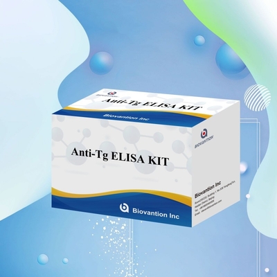 Kit diagnostico Elisa per anticorpi anti-tiroglobuline umane Anti-Tg per ospedali e laboratori