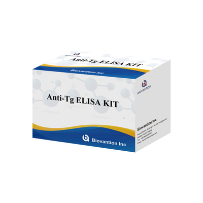 Kit diagnostico Elisa per anticorpi anti-tiroglobuline umane Anti-Tg per ospedali e laboratori