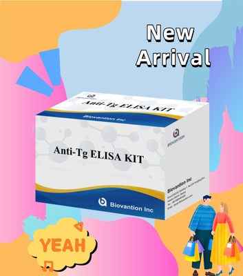 Kit diagnostico Elisa per anticorpi anti-tiroglobuline umane Anti-Tg per ospedali e laboratori