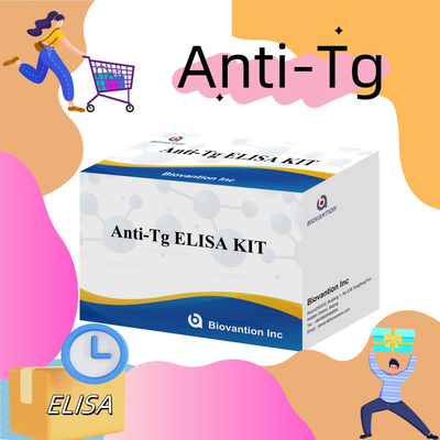 Kit diagnostico Elisa per anticorpi anti-tiroglobuline umane Anti-Tg per ospedali e laboratori