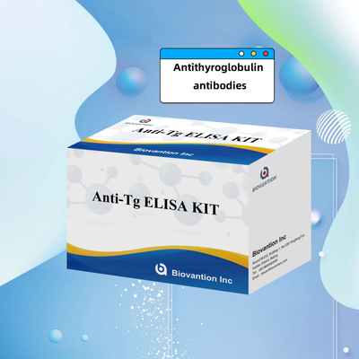 Kit diagnostico Elisa per anticorpi anti-tiroglobuline umane Anti-Tg per ospedali e laboratori