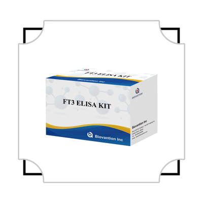 FT3 Triiodotironina libera per reagenti diagnostici umani kit con 96T ELISA test per laboratorio ospedaliero clinico