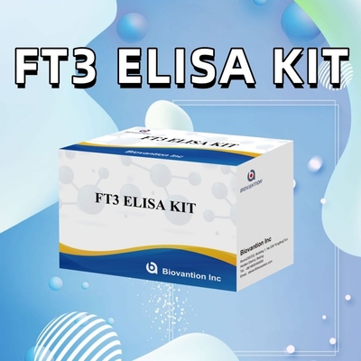 FT3 Triiodotironina libera per reagenti diagnostici umani kit con 96T ELISA test per laboratorio ospedaliero clinico