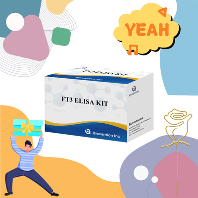 FT3 Triiodotironina libera per reagenti diagnostici umani kit con 96T ELISA test per laboratorio ospedaliero clinico