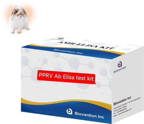Peste Des Petits ruminanti PPRV Ab Kit ELISA Kit di prova veterinaria